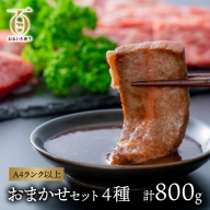 F4-01 片桐さんの「おおいた和牛」おまかせ焼肉セット（計800g）