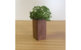 家具の素材としては有名なウォールナット材で木製ポットを作りました。天然素材で1つ1つ手作りなので、同じ形や柄は1っこも出来ない世界にたった1つだけの物です。本体にクリアカップ１個とキャンドル用のスペー