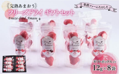 形も味もそのまま楽しめる！完熟あまおう【フリーズドライギフトセット】 (12g×8袋)【あまおう 食品 あまおう フルーツ あまおう 果物 苺くだもの いちご 食品 イチゴ 人気 あまおう おすすめ 送料無料 福岡県 大川市 AA044】 444136 - 福岡県大川市