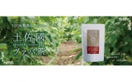 国産有機栽培グァバ葉100％使用 土佐國グァバ茶（2g×30包）