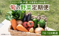 「ベジーズ館」の夏・冬野菜　年２回コース （7月と12月発送）
