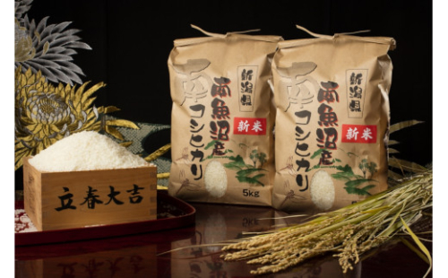 【頒布会】【令和4年産】南魚沼塩沢産こしひかり(白米10kg×全3回) 445334 - 新潟県南魚沼市