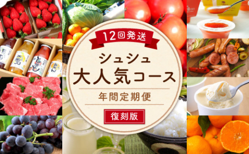 【12回定期便】シュシュ大人気コース復刻版① 【480pt】(ポイントのみ) 446717 - 長崎県大村市