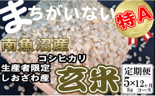 【定期便】玄米 生産者限定 南魚沼しおざわ産コシヒカリ5Kg×12ヶ月 446905 - 新潟県南魚沼市