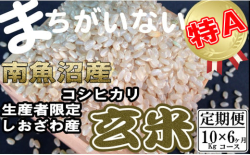 【定期便】玄米 生産者限定 南魚沼しおざわ産コシヒカリ10Kg×6ヶ月 446907 - 新潟県南魚沼市