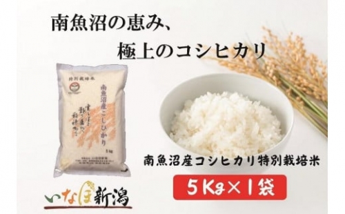 南魚沼産コシヒカリ特別栽培米　白米　５kg