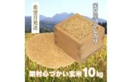 【令和7年3月発送】美味しいお米を玄米でお届け！栄村産コシヒカリ最高評価特Ａ米「心づかい」10kg （令和6年産）