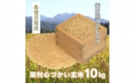 [令和7年10月発送]美味しいお米を玄米でお届け 栄村産コシヒカリ最高評価"特A米10kg (令和6年産)