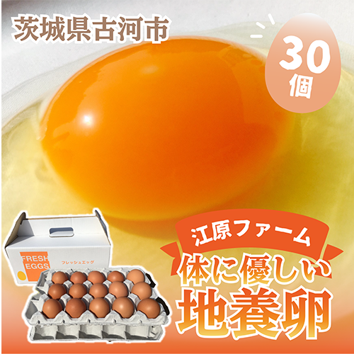 AG03_江原ファーム　体に優しい地養卵（３０個）