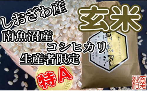 【定期便】玄米 南魚沼しおざわ産コシヒカリ5Kg×12ヶ月 448848 - 新潟県南魚沼市