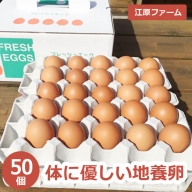 AG04_江原ファーム　体に優しい地養卵（５０個）◆