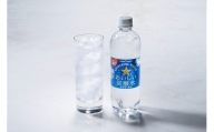 おいしい炭酸水 （600ml ×24本）