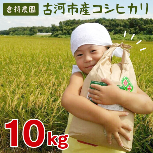 【令和7年産】古河市産 コシヒカリ10kg【倉持農園】 | 米 こめ コメ こしひかり コシヒカリ 10キロ 古河市産 茨城県産 贈答 贈り物 プレゼント 茨城県 古河市 直送 農家直送 産地直送 送料無料 _AN01 ※2025年11月上旬頃より順次発送予定 44941 - 茨城県古河市