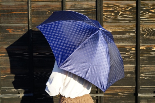 雪華模様の折り畳み傘（サイズ55cm）カラー：ネイビー_BL02 44992 - 茨城県古河市