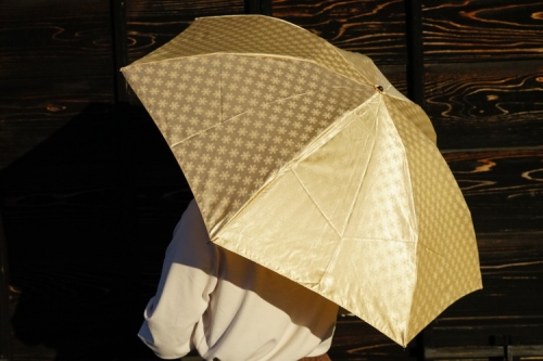 雪華模様の折り畳み傘（サイズ55cm）カラー：ベージュ_BL03 44993 - 茨城県古河市