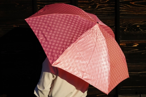 雪華模様の折り畳み傘（サイズ55cm）カラー：ピンク_BL04 44994 - 茨城県古河市