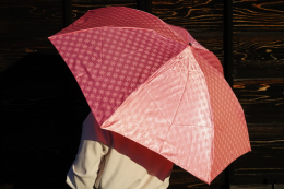 古河（こが）と雪華（せっか）旧古河市内には、数多くの雪華文様が見受けられます。学校の校章や、街路灯、案内看板、煉瓦敷きの歩道など、街中、雪華文様がちりばめられています。古河藩主土井利位（どいとしつら）