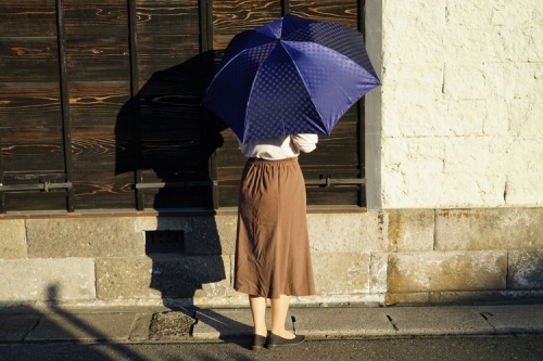 雪華模様の折り畳み傘（サイズ60cm）カラー：ネイビー_BL16 44996 - 茨城県古河市