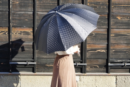 雪華模様のオリジナル傘（サイズ65cm）カラー：ブラック_BL09 45031 - 茨城県古河市