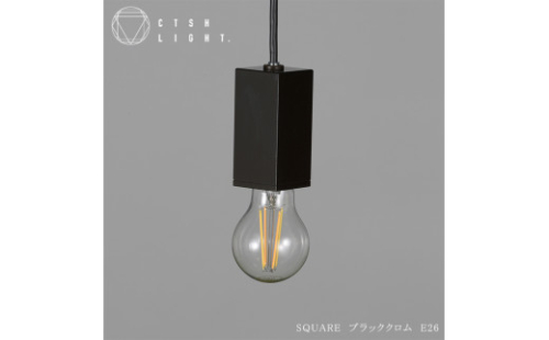 金属加工のプロ集団が作り上げるシーリングライト【CTSH SQUARE ブラッククロム加工 E-26】 450339 - 岐阜県瑞浪市