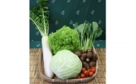 野菜セット 「大地の恵みセット」6～7種 +古代米バウムクーヘン【1080582】