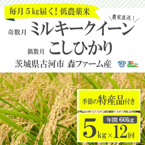 【定期便】1年間毎月届く！低農薬米こしひかり（偶数月）とミルキークイーン（奇数月）5kg_BI03　※季節の特産品付き 45076 - 茨城県古河市