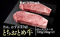 とちおとめ牛　ロースステーキ500g(250g×2)