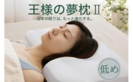 AA156　王様の夢 枕 2 低めタイプ (超極小ビーズ素材、専用枕カバー付き)【104-000505-100】
