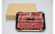 国産豚焼肉用豚肉セット（ロース500g、バラ500g）