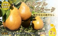 【泉山果樹園】高級ゼネラルレクラーク（洋梨）約3kg（約450g×7個） F21U-063