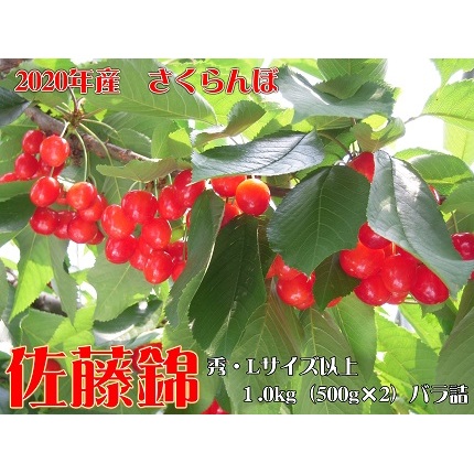 F-03420 【先行予約】2020年産山形県河北町産さくらんぼ(佐藤錦)1.0kgバラ詰(500g×2パック)