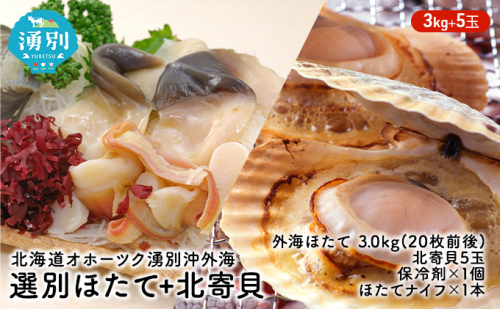先行予約北海道 オホーツク 湧別沖 外海 選別 ほたて 3kg+ 北寄貝 5玉 帆立 ホタテ 刺身 海鮮 魚介 国産 殻付き 貝付き 冷蔵 サロマ湖 魚貝類  45323 - 北海道湧別町