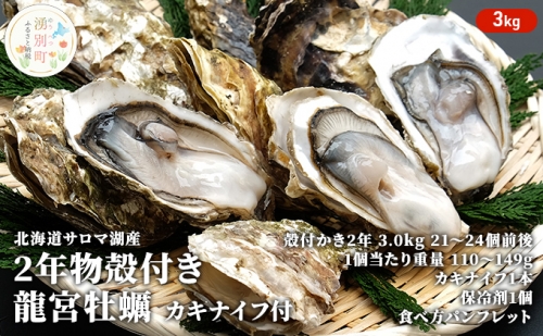  ≪先行予約2022年11月から配送≫北海道サロマ湖産　龍宮牡蠣3kg（2年物殻付きカキ）カキナイフ付