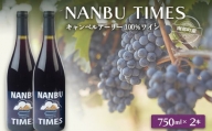 NANBU TIMES(ナンブタイムズ)ワイン２本セット F21U-071