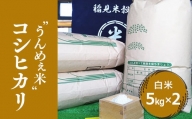 [令和4年度産] 栃木県上三川町産コシヒカリ・白米 (5kg×2袋)