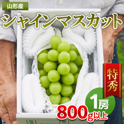 山形市産 シャインマスカット 特秀 1房 800g以上 FZ22-402 454689 - 山形県山形市