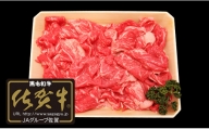 N25-3 【佐賀牛】切り落とし肉700g
