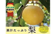 ★8月発送★果汁滴る絶品の梨(約２Kg）