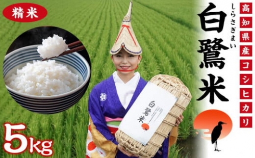 減農薬、減化学肥料！ 令和4年産　白鷺米　5kg 456436 - 高知県高知市