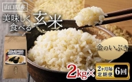【定期便】美味しく食べる玄米2kg（2か月毎定期便）【全６回】 F6L-636