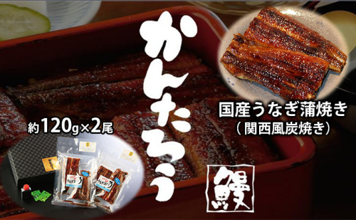 国産うなぎ蒲焼き（ 関西風炭焼き）約120g×2尾【配送不可：離島】 45764 - 静岡県浜松市