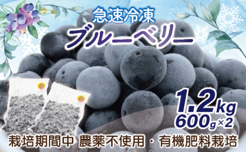 急速冷凍！栽培期間中農薬不使用ブルーベリー600g×2パック　計1.2kg[H4005] 45819 - 福岡県福津市