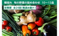 『定期便 全24回』【隔週お届け】朝採れ旬の野菜の詰め合わせ