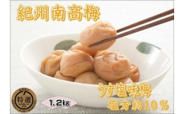 紀州みなべの南高梅を粗漬けしたあと、秘伝の調味法によりじっくりと熟成させたうす塩味仕立ての梅干です。おいしさがあとをひく奥深い味わいをご堪能下さい。【製造場所】和歌山県農業協同組合（和歌山県日高郡みな