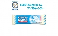 KUBOTAの白くまくんアイスクリンキャンデー　20本入 | 久保田食品