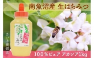 さいき養蜂園　天然ピュア蜂蜜　アカシア １ｋｇ　はちみつ 国産
