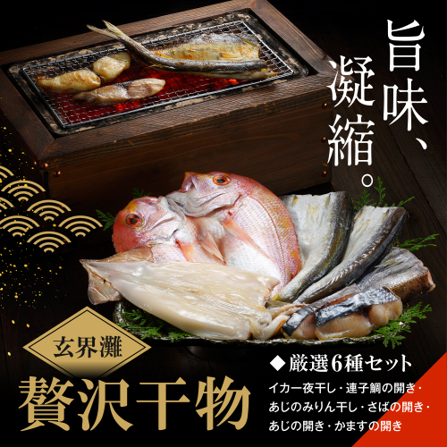 【旨味凝縮】玄界灘の贅沢干物6種セット／玄界灘 干物 イカ 連子鯛 あじ さば かます 冷凍 45940 - 佐賀県玄海町