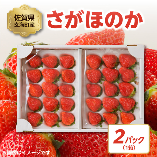 ★予約受付★渡邉農園 玄海町産いちご「さがほのか」1月～4月順次配送 45983 - 佐賀県玄海町