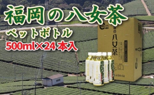 【八女産茶葉100％使用】福岡の八女茶（煎茶）　500mlペットボトル　24本入り