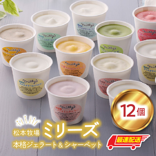 松本牧場ミリーズ（12個）／配送無料 自然豊か 牧場 搾りたて 新鮮なミルク 玄海町産素材使用 いちご みかん 本格ジェラート 46065 - 佐賀県玄海町